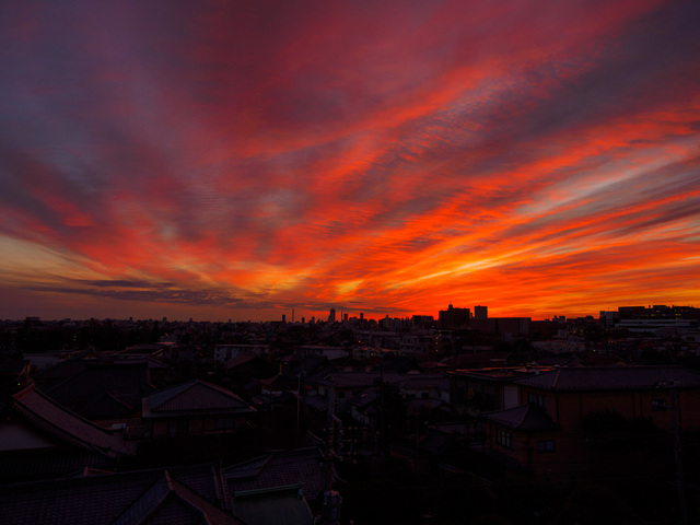 M1024033_CameraRAW_2048.jpg