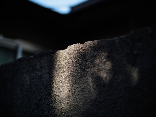 M1180684_2048x1536_補正済.jpg