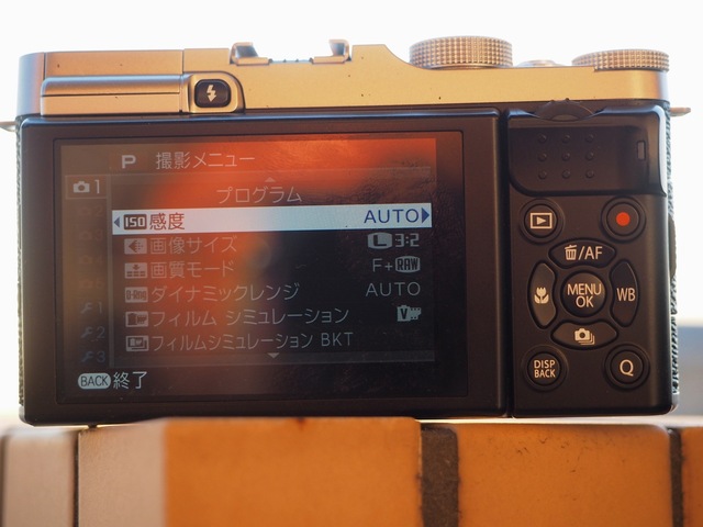 M1291293_2048x1536_補正済.jpg