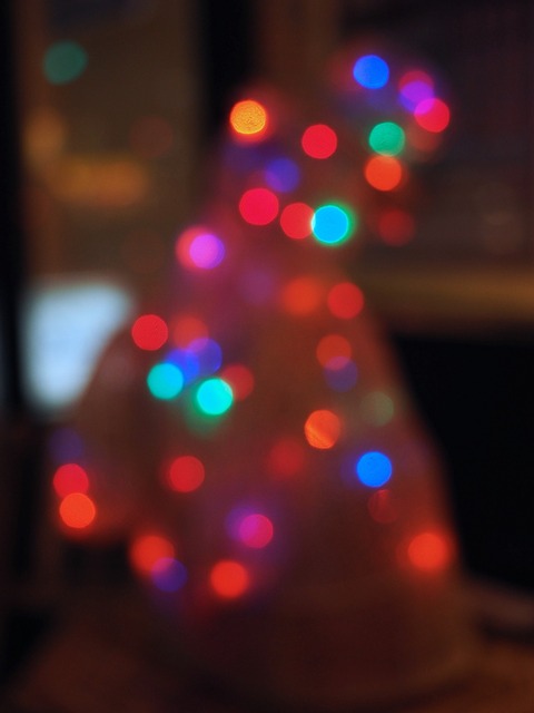 M2212532_2048x1536_補正済.jpg