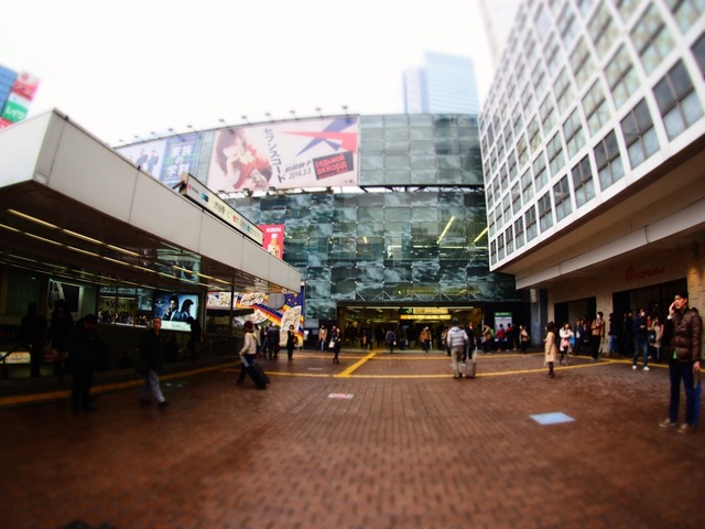 M3013856_2048x1536_補正済.jpg