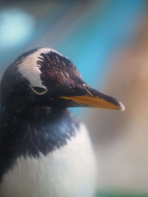 M3024634_2048x1536_補正済.jpg