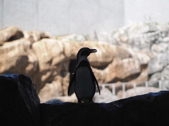 M3024736_2048x1536_補正済.jpg