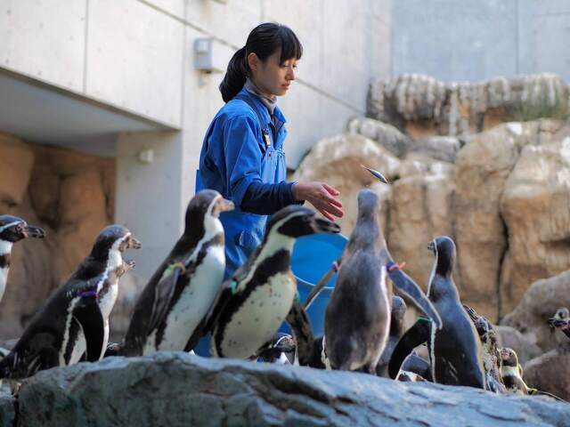 M3024742_2048x1536_補正済.jpg