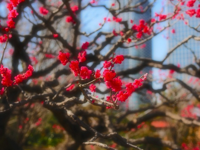 M3043995_2048x1536_補正済.jpg