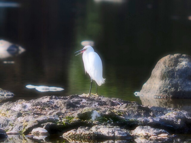 M3084348_2048x1536_補正済.jpg