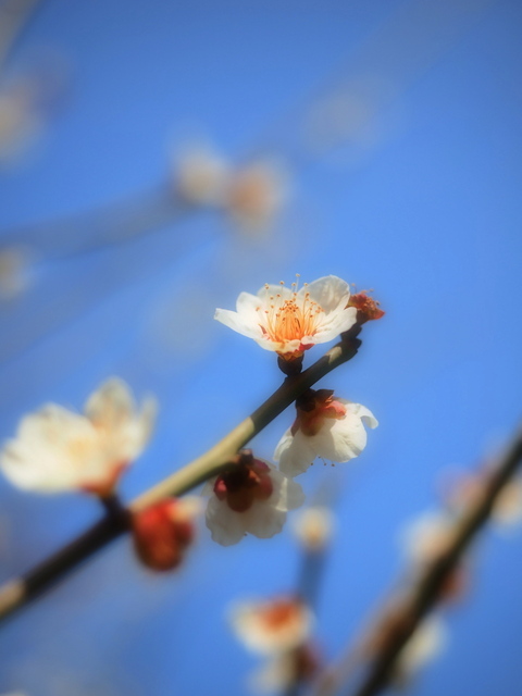 M3084443_2048x1536_補正済.jpg