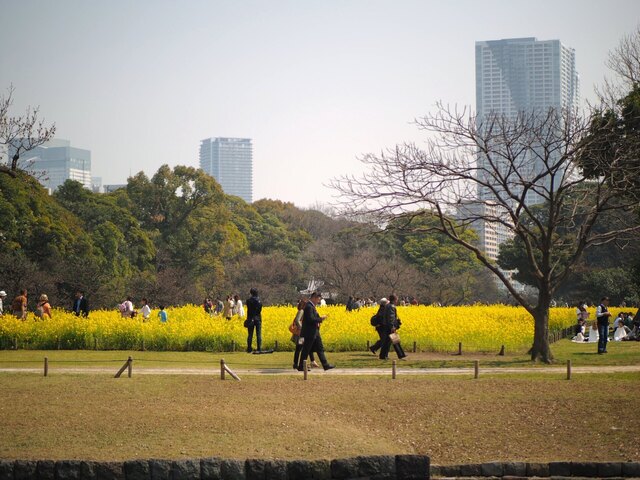 M3286129_2048x1536_補正済.jpg