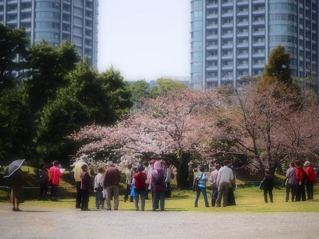 M3286146_2048x1536_補正済.jpg