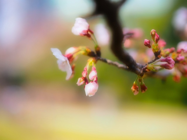 M3286160_2048x1536_補正済.jpg