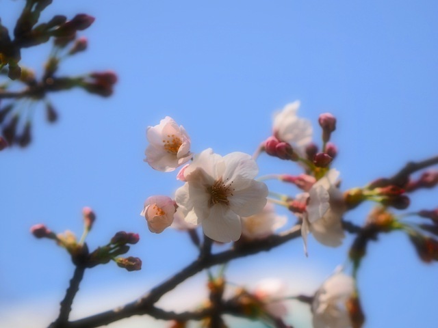 M3286162_2048x1536_補正済.jpg
