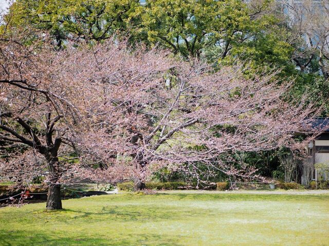 M3286167_2048x1536_補正済.jpg