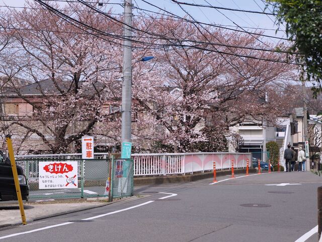 M3296232_2048x1536_補正済.jpg