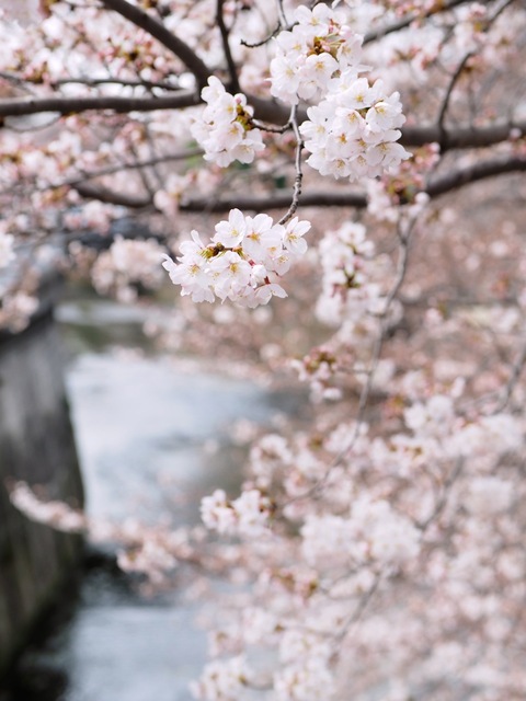 M3296239_2048x1536_補正済.jpg