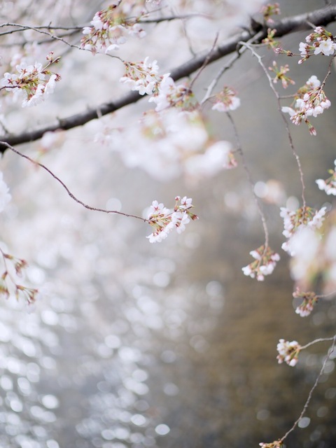M3296255_2048x1536_補正済.jpg