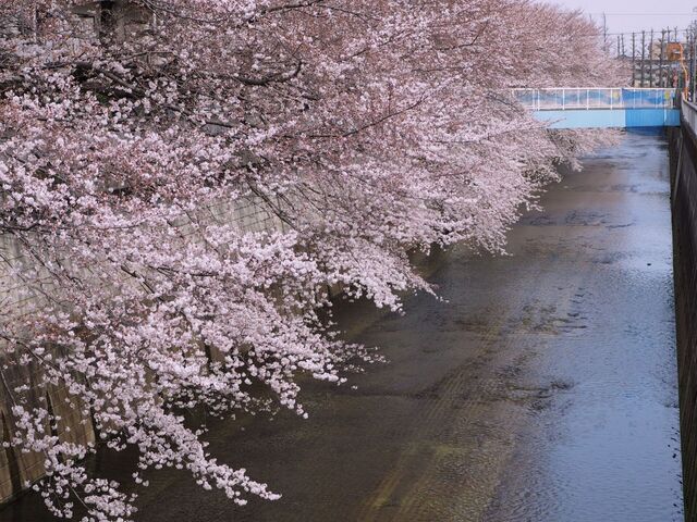 M3296268_2048x1536_補正済.jpg