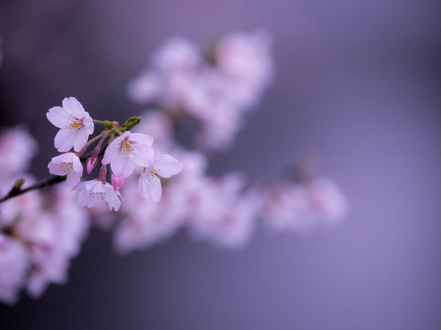 M4020634_CameraRAW_2048_1.jpg