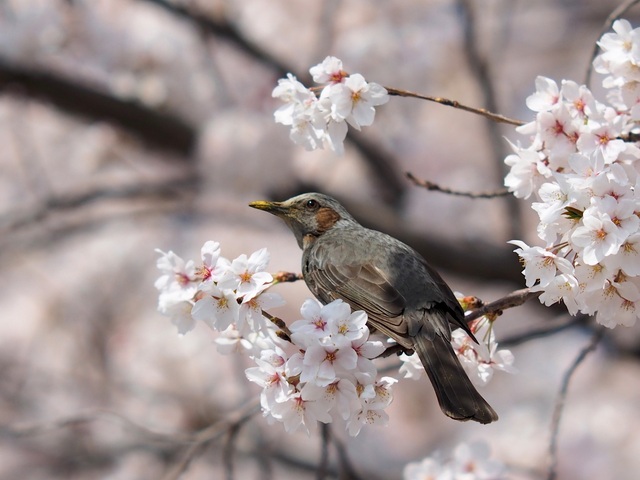 M4027239_2048x1536_補正済.jpg
