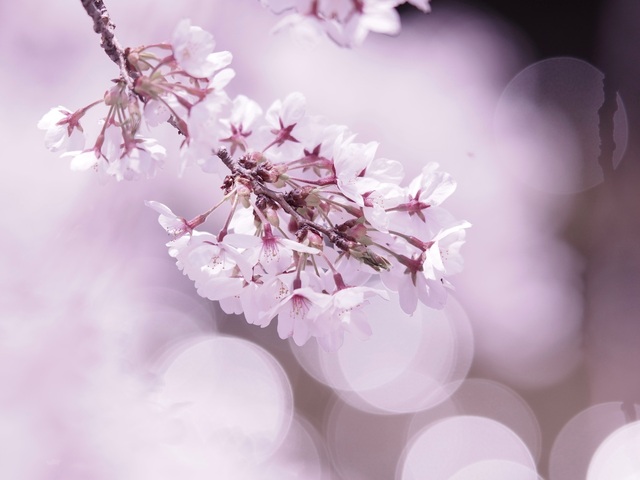 M4027250_2048x1536_補正済.jpg