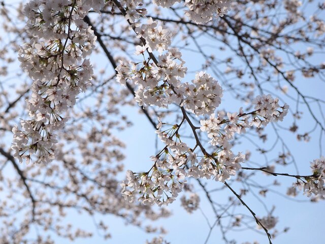 M4027321_2048x1536_補正済.jpg