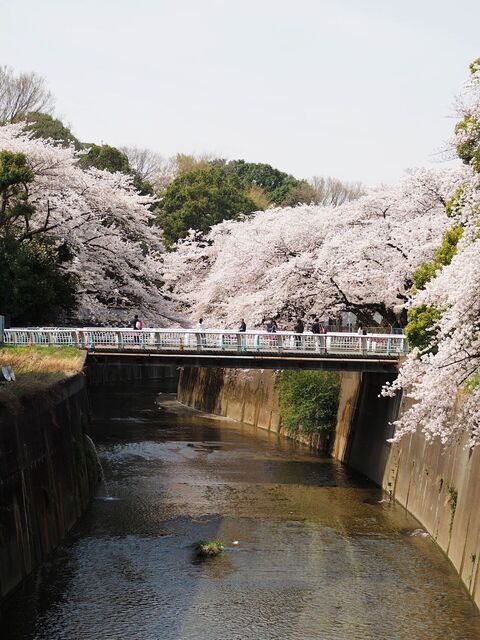 M4027338_2048x1536_補正済.jpg