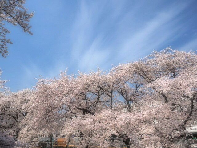 M4027357_2048x1536_補正済.jpg