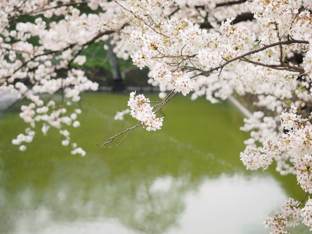 M4027532_2048x1536_補正済.jpg