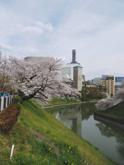 M4027565_2048x1536_補正済.jpg