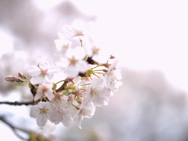 M4027637_2048x1536_補正済.jpg