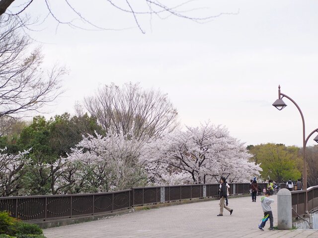 M4027681_2048x1536_補正済.jpg