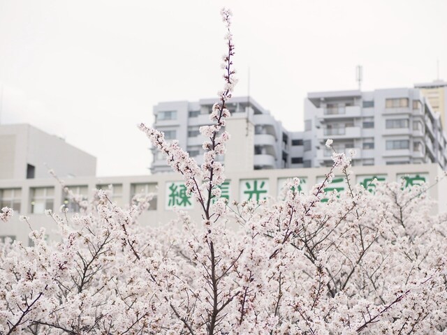 M4027685_2048x1536_補正済.jpg