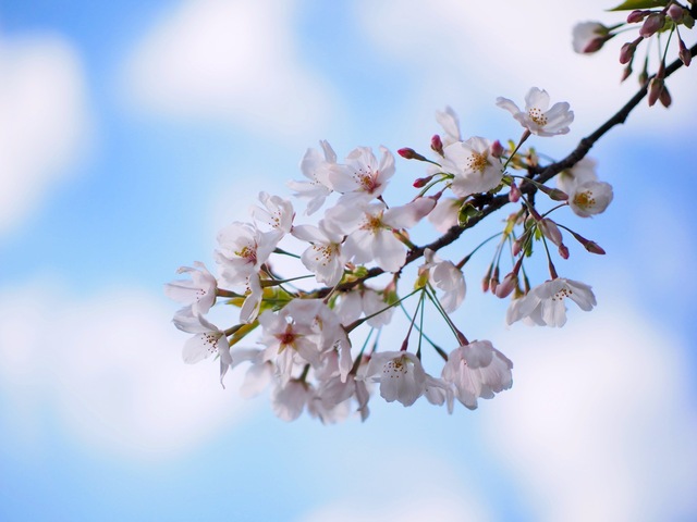 M4058003_2048x1536_補正済.jpg