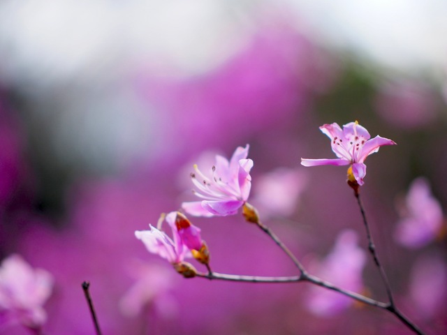M4058007_2048x1536_補正済.jpg