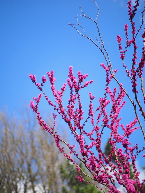 M4058013_2048x1536_補正済.jpg