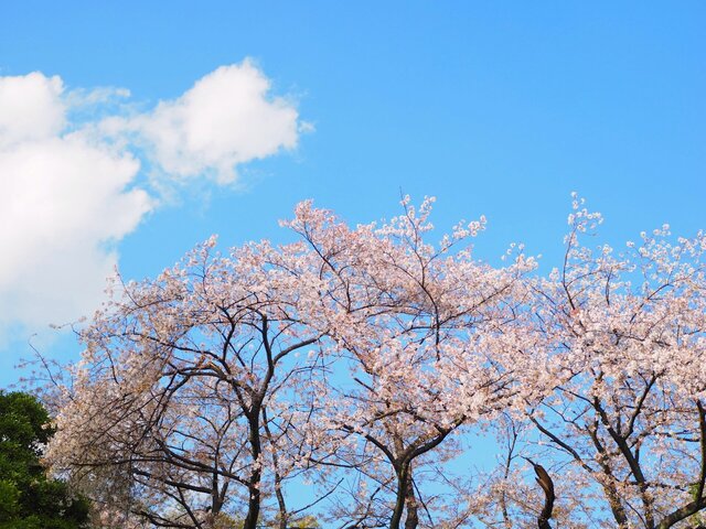 M4058020_2048x1536_補正済.jpg
