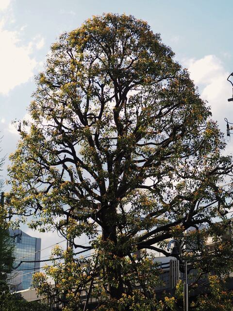 M4058049_2048x1536_補正済.jpg