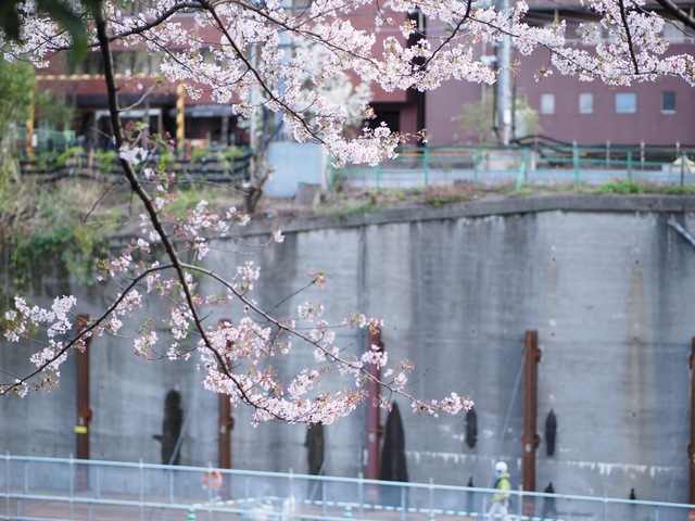 M4058061_2048x1536_補正済.jpg