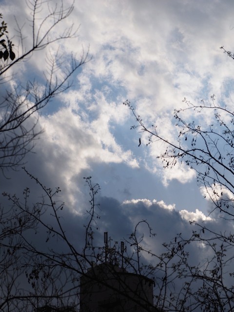 M4058071_2048x1536_補正済.jpg
