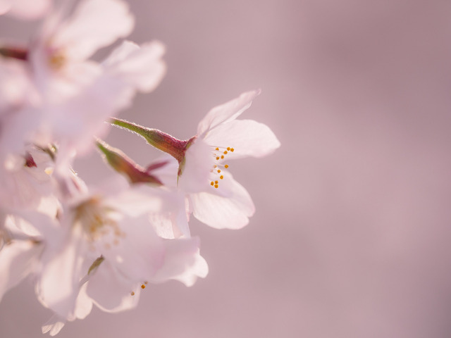 M4060779_CameraRAW_2048.jpg