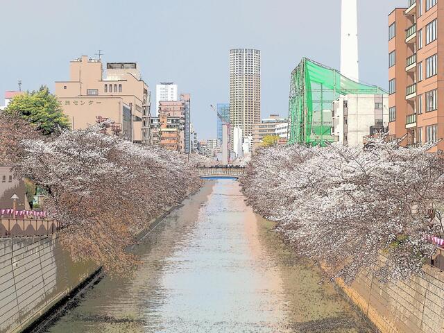 M4068148_2048x1536_補正済.jpg