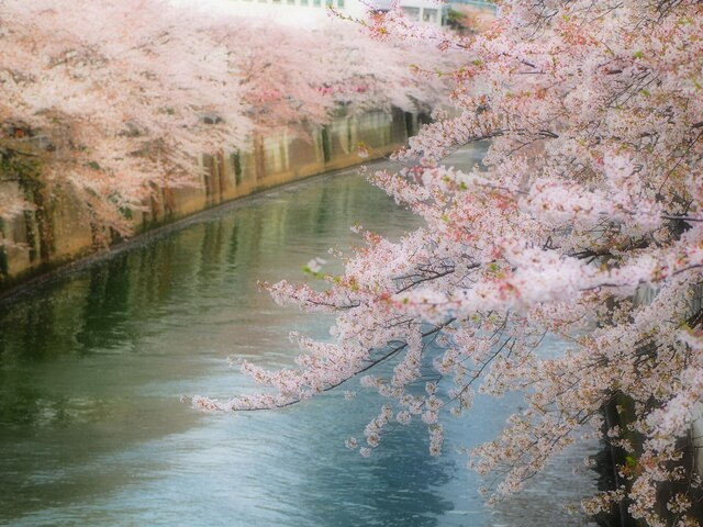 M4068155_2048x1536_補正済.jpg