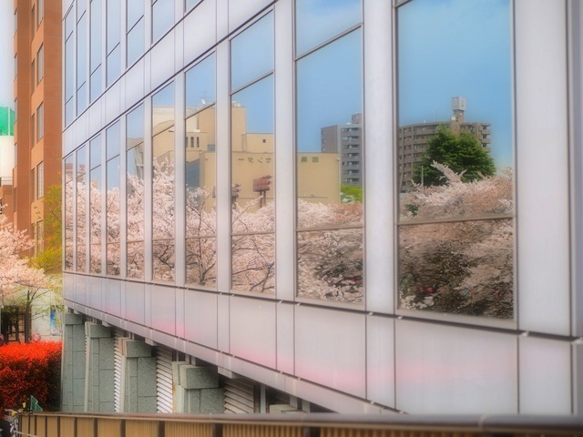 M4068161_2048x1536_補正済.jpg