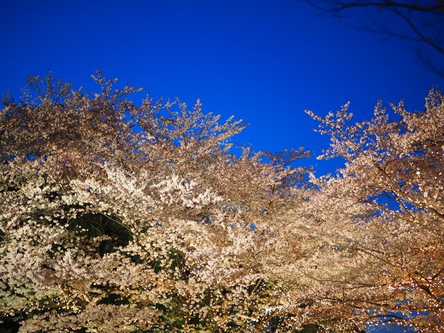M4068180_2048x1536_補正済.jpg
