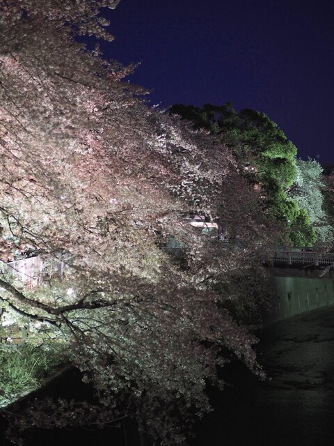 M4068208_2048x1536_補正済.jpg