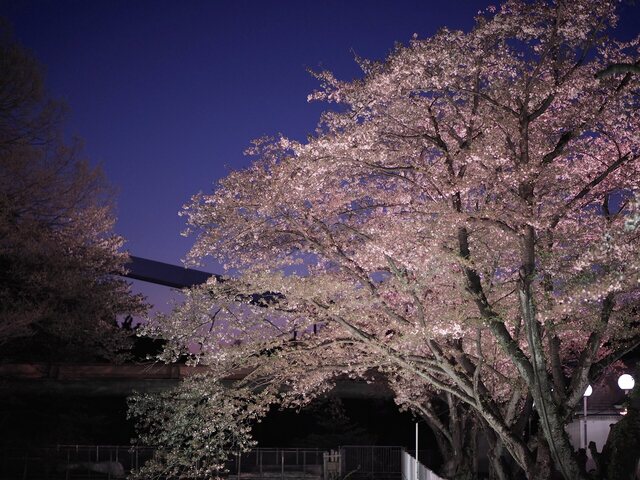 M4068210_2048x1536_補正済.jpg