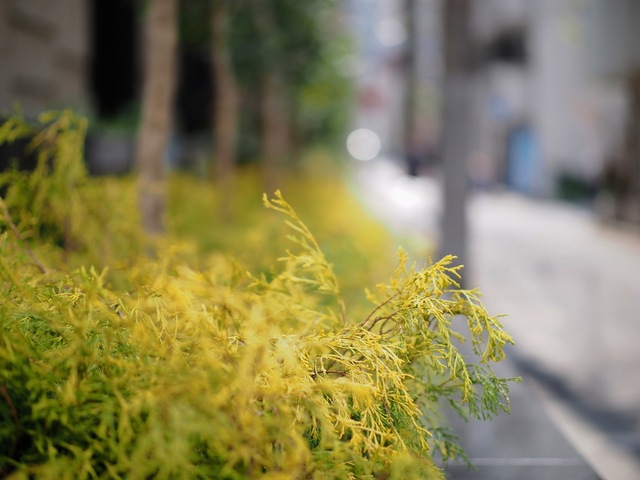 M4098276_2048x1536_補正済.jpg