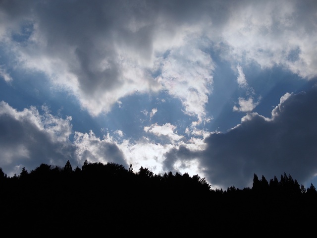 M4221766_2048x1536_補正済.jpg