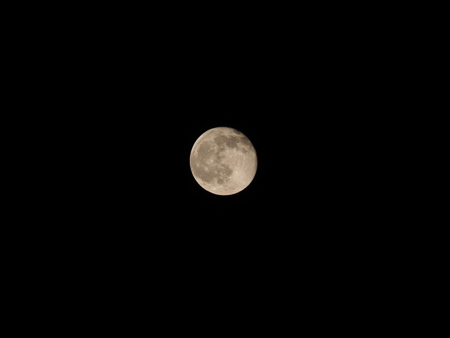 M5054991_2048x1536.jpg