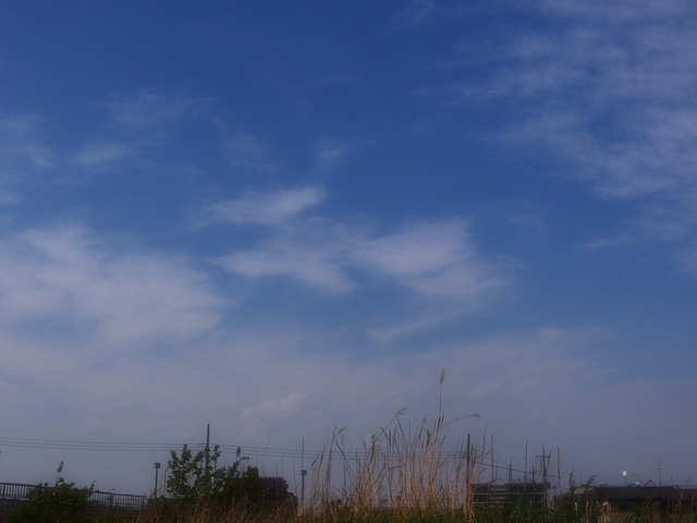 M5062637_2048x1536_補正済.jpg