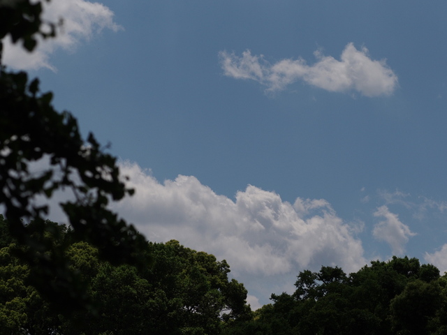 M5122859_2048x1536.jpg